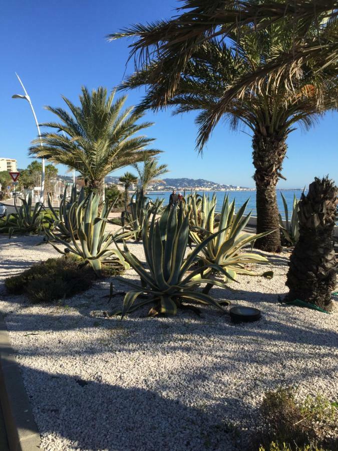 Appartement Belle Azur Cannes Eksteriør bilde
